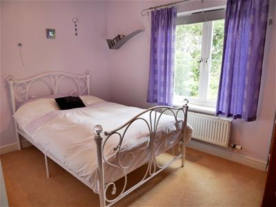 Picture 23